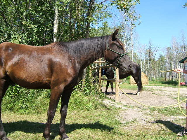 dscf6035