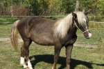 dscf6184_1