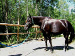 dscf6020_1