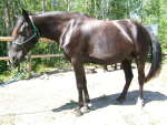 dscf6022_1