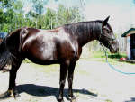 dscf6023_1
