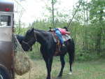 pilar_5