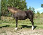dscf6329_1